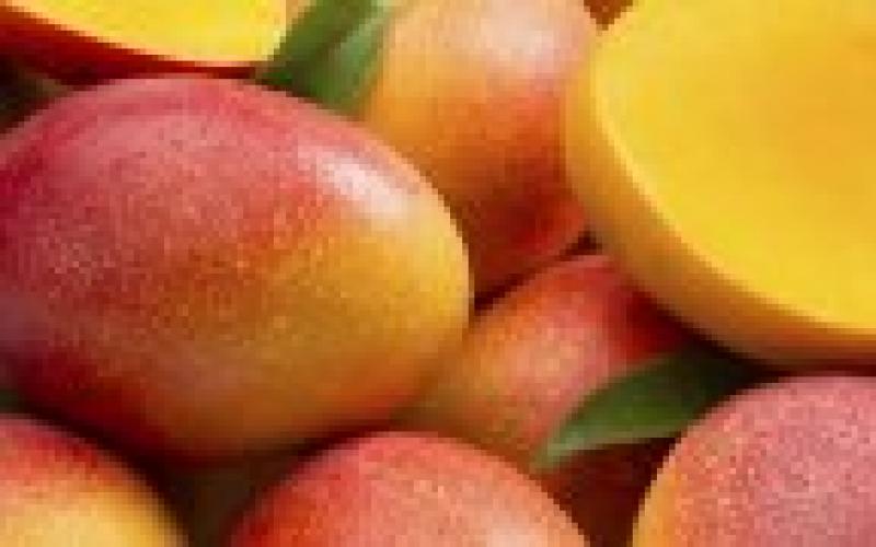 Сколько калорий в мандаринах и их полезные свойства
